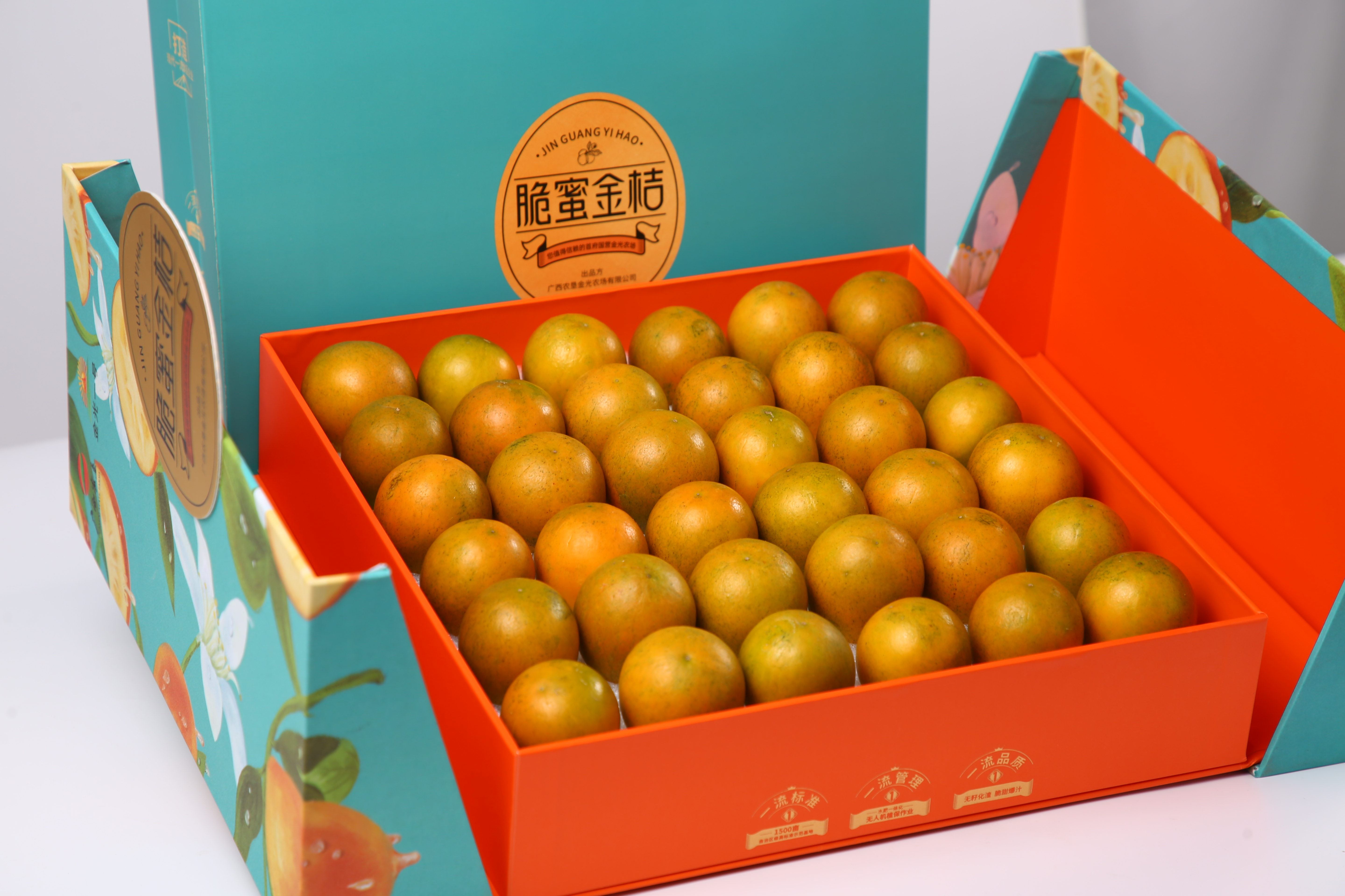 金光好農(nóng)品| 品“金光一號”脆蜜金桔 享自然本味與健康安心